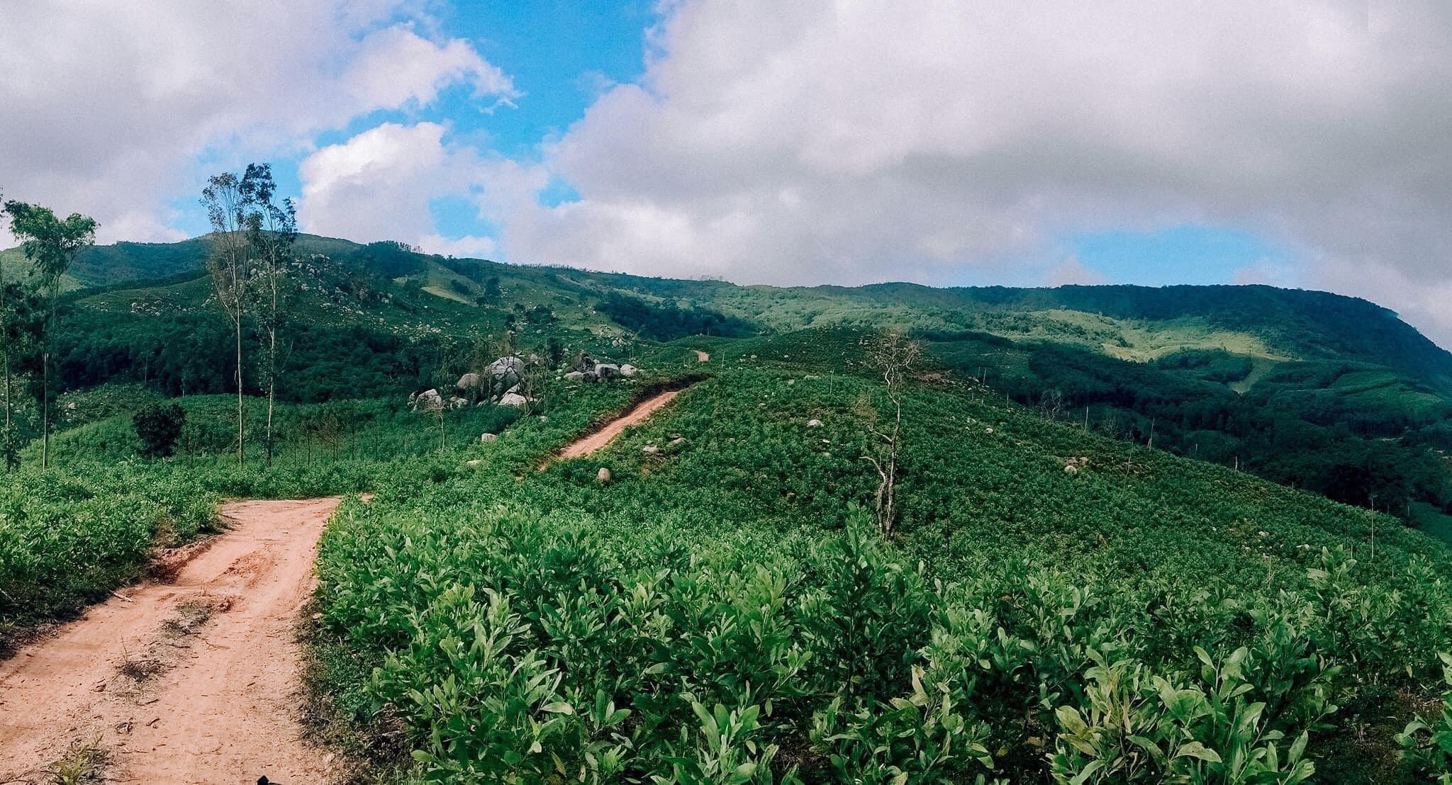 Cao Nguyên La Vuông