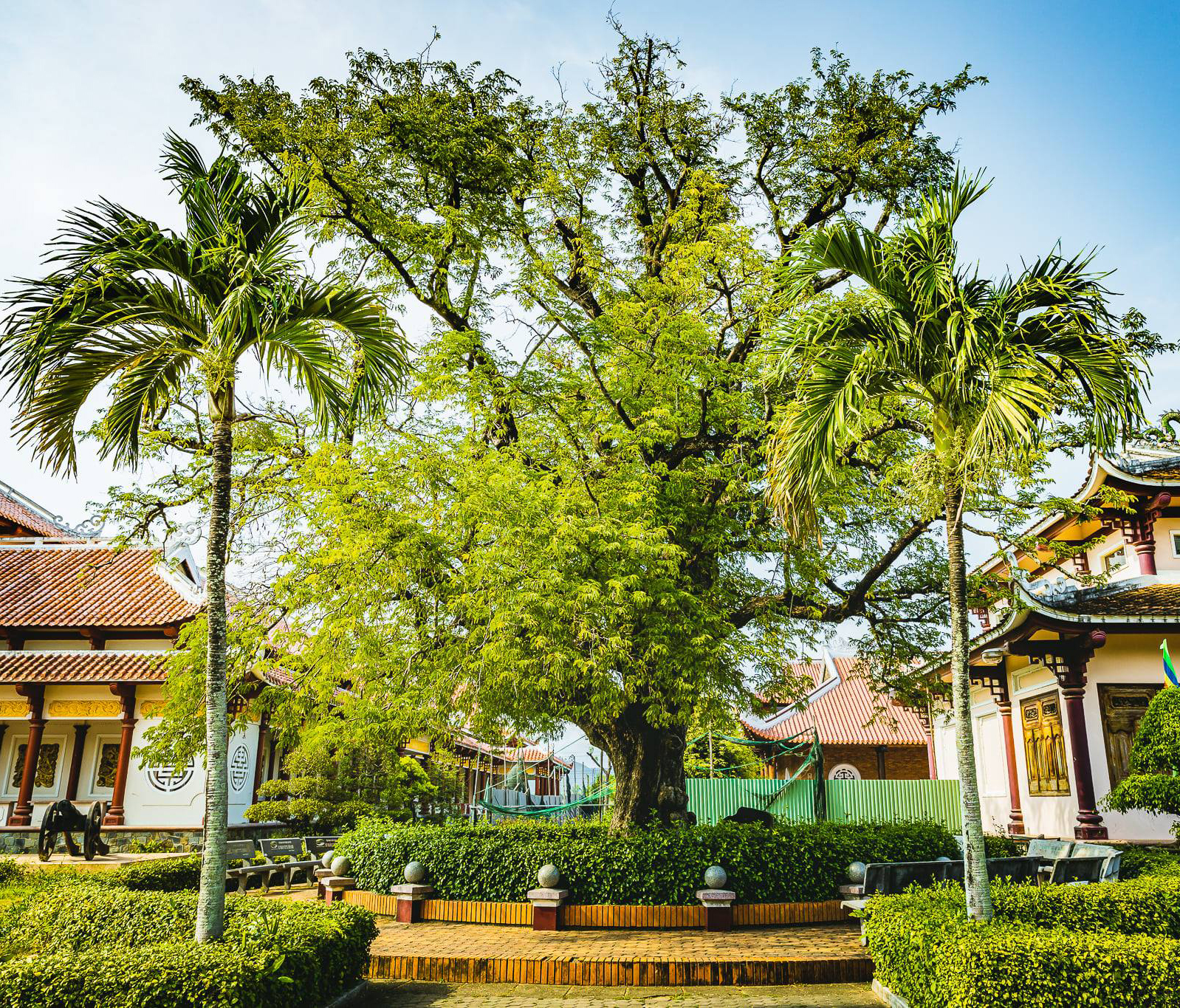 Bảo tàng Quang Trung