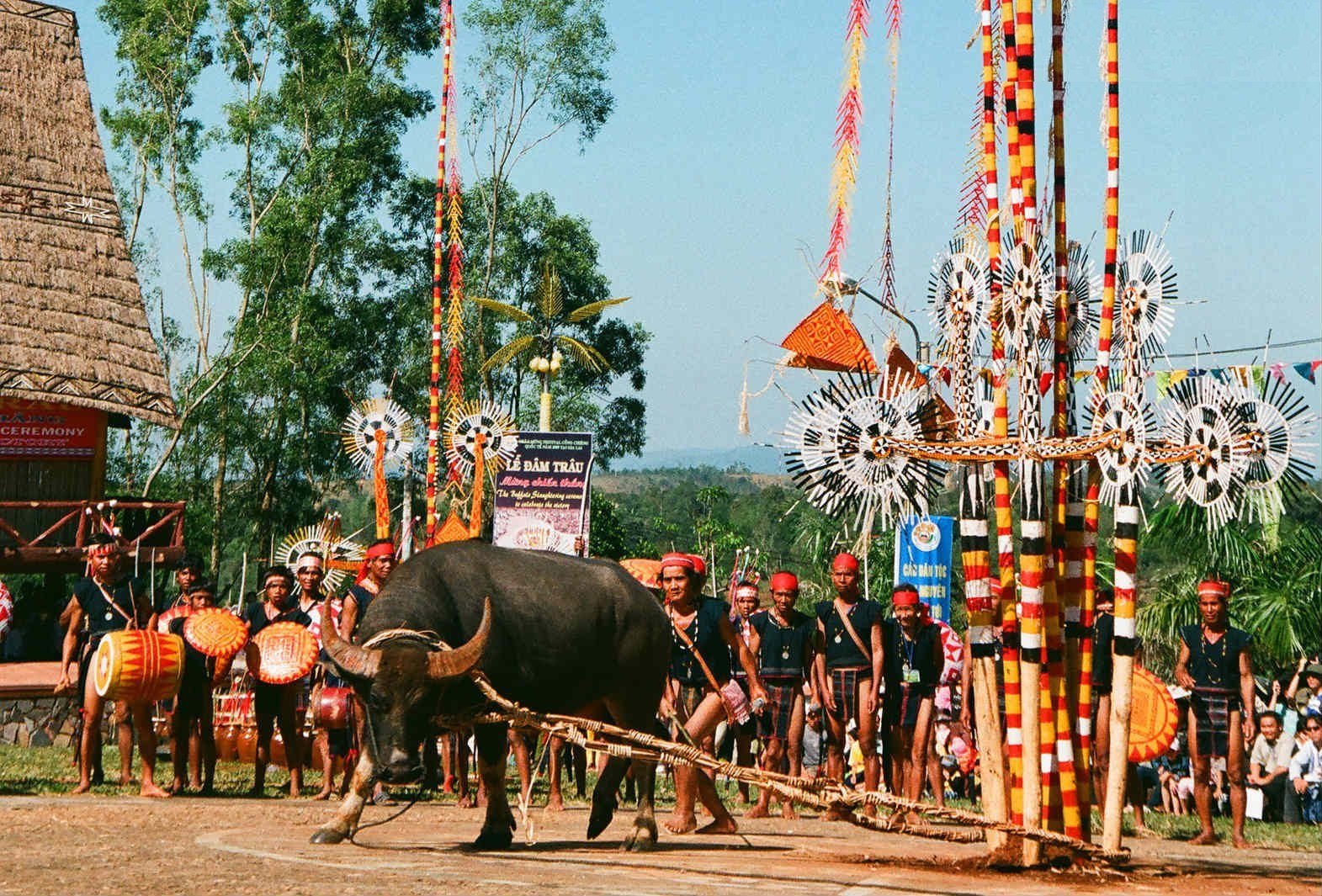 Lễ hội Phú Yên