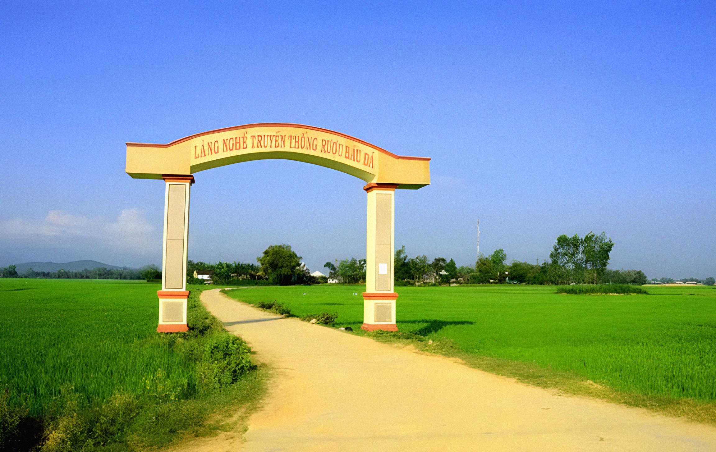 Rượu Bầu Đá Bình Định