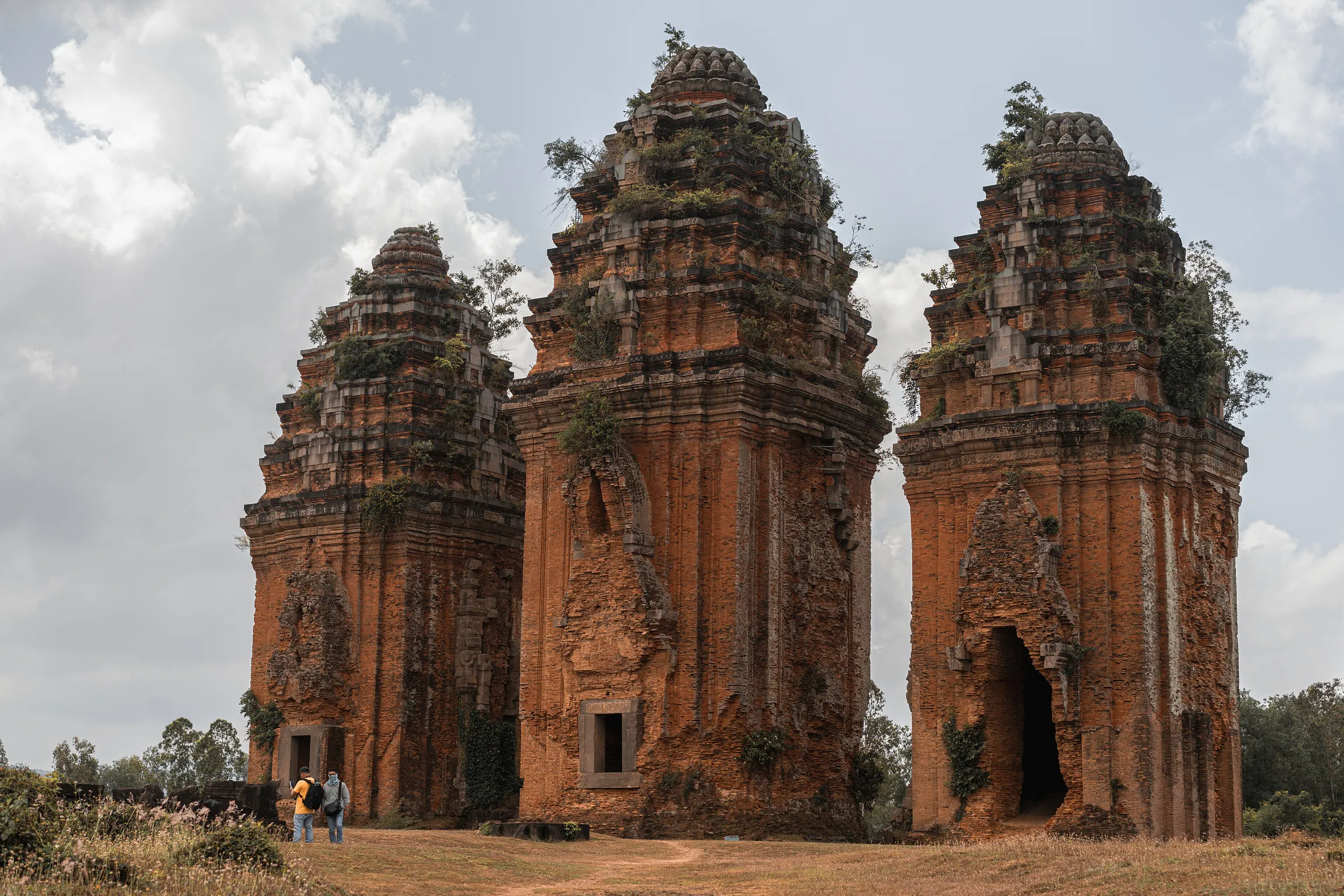 Tháp Chăm Bình Định