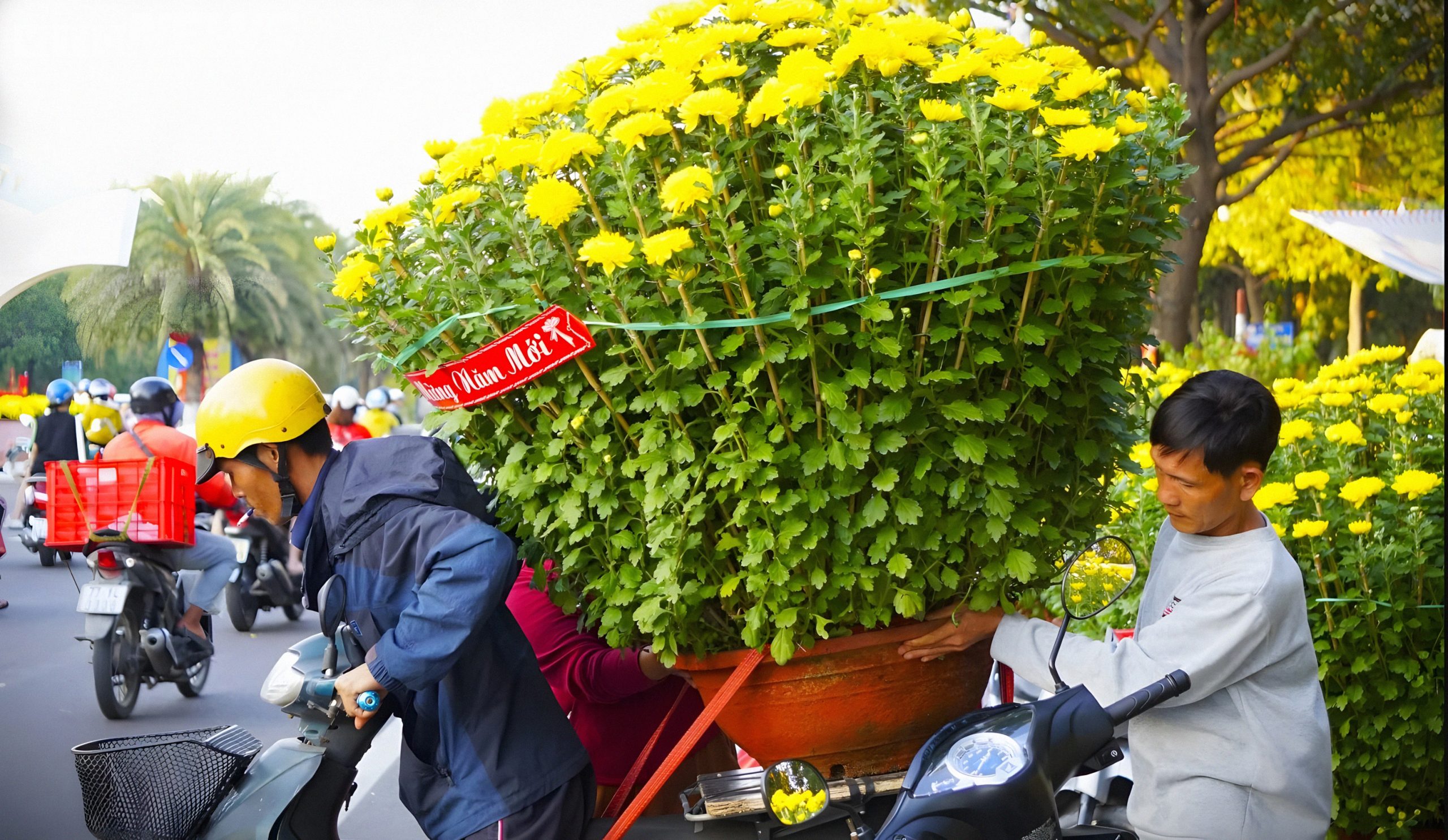 Du lịch Quy Nhơn ngày tết